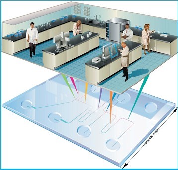 PDMS/PMMA/GLASS 微流控分析芯片實驗室