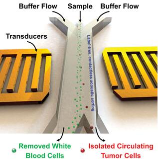1467248056136823.jpg 20160617082050912.jpg