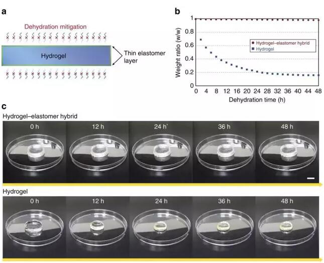 1467593984320371.jpg QQ截圖20160704085837.jpg