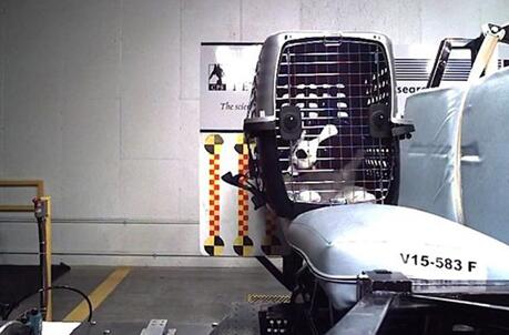 制藥公司認為人造器官將終結動物實驗