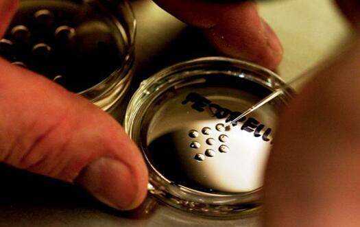 培養皿上的人類胚胎