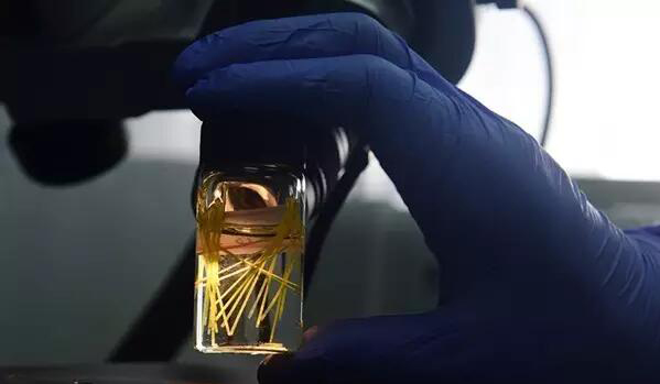 1473383733326525.jpg QQ截圖20160909090240.jpg