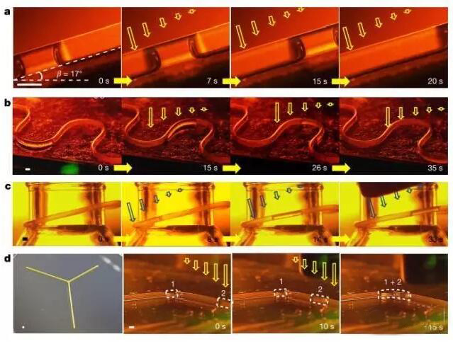 1473383941479804.jpg QQ截圖20160909090423.jpg