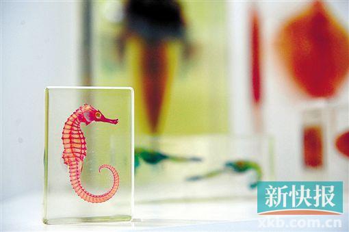 0 (1).jpg 微流控芯片|微流控芯片批量加工