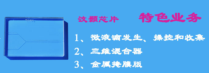 1476152630612944.jpg 微流控芯片