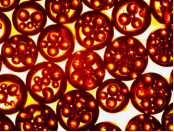 1477532527490433.png 微流控芯片|微流控芯片批量加工