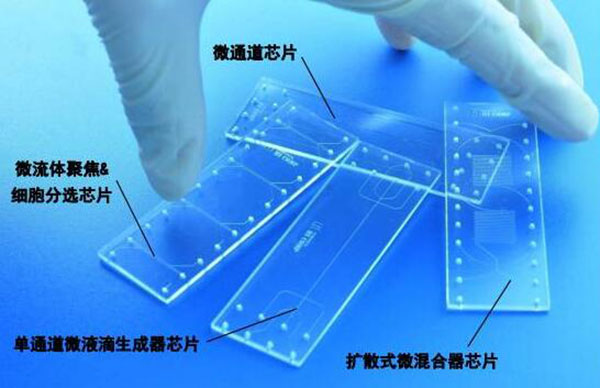 1479088461500115.jpg 微流控芯片