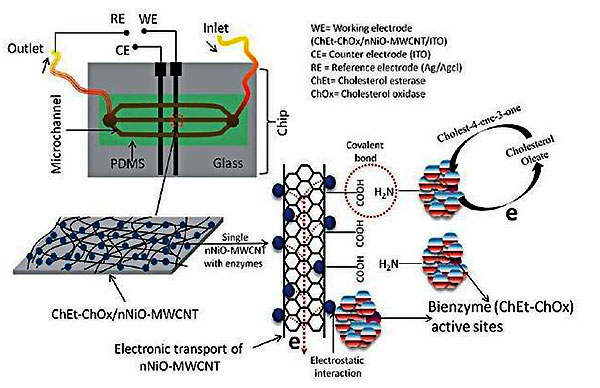 1479288264219548.jpg 微流控芯片
