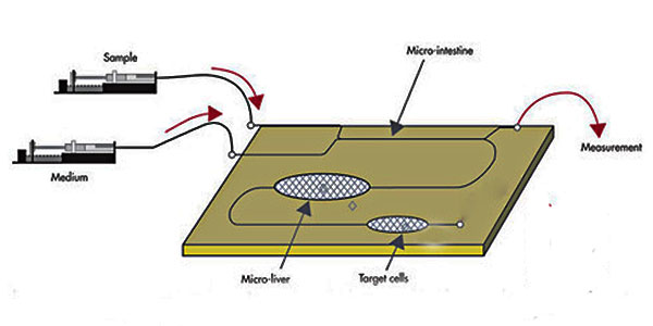1479288283122399.jpg 微流控技術(shù)