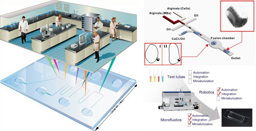 1479865515276264.jpg 1479865515276264.jpg