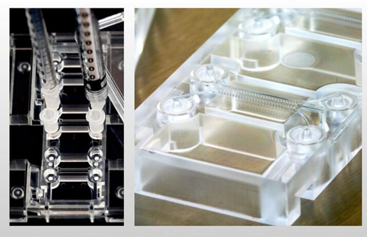 1480037971107385.jpg 1480037971107385.jpg