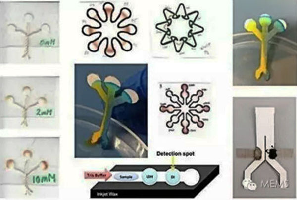 1481531599133661.jpg 微流控芯片