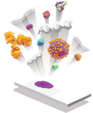 1481874574116469.jpg http://m.huihao027.com/upload/201612/1481874223132107.jpg