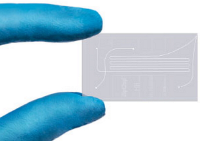 1481874591674695.jpg http://m.huihao027.com/upload/201612/1481874223855643.jpg