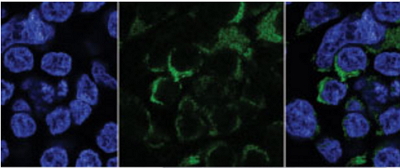 1481874604967010.jpg http://m.huihao027.com/upload/201612/1481874223116814.jpg