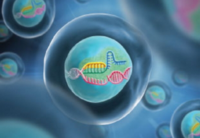 1481874627968215.jpg http://m.huihao027.com/upload/201612/1481874224317660.jpg