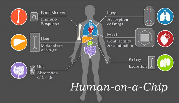 1482127798219892.png poji.png