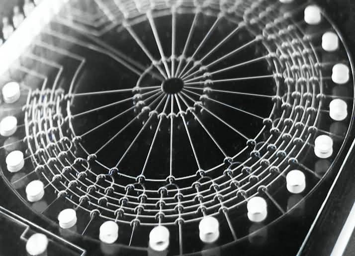 1486543900125157.jpg photo for cover final version.jpg