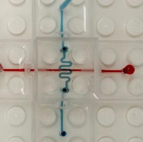 1486718128680160.jpg 1111.jpg