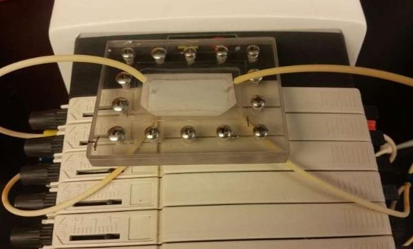 1486974731103018.jpg sz.jpg