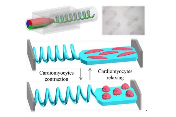 1489996385293519.jpg 80d9edf3-ccaa-47b1-8280-cd3c5551cba6.jpg