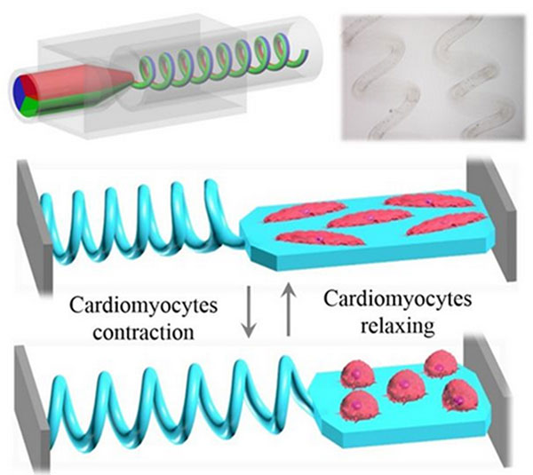 1490578599103465.jpg 微流控技術