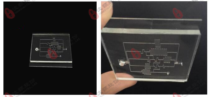 Microfluidic concentration gradient chip