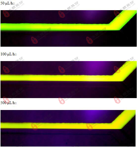微流控層流玻璃芯片流動特性