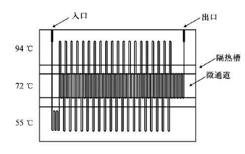 微流控芯片的應用領域