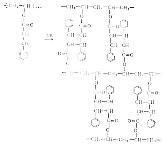 KPR膠的光化學交聯反應式