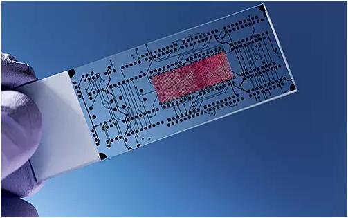 微流控技術在生物醫學領域的應用 微流控技術在生物醫學領域的應用
