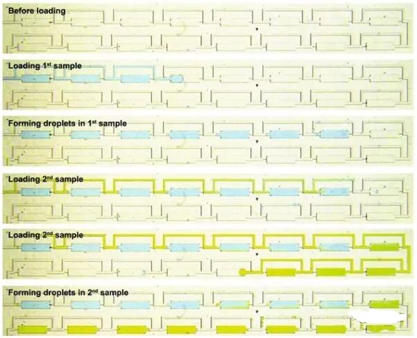 精準癌癥治療新突破,24小時出癌細胞藥敏結果 精準癌癥治療新突破,24小時出癌細胞藥敏結果