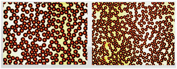 單乳液芯片|微液滴芯片顯微鏡照片 單乳液芯片|微液滴芯片顯微鏡照片