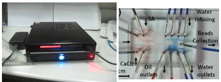 新型數(shù)字化閥控微流平臺及其應用在藥物開發(fā)和抗藥篩選方面的研究