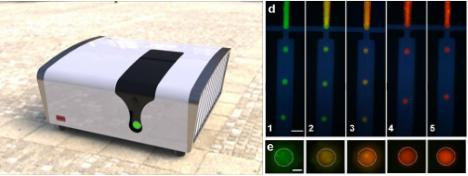 在線芯片生物大分子熒光毛細管電泳與PCR檢測聯(lián)用