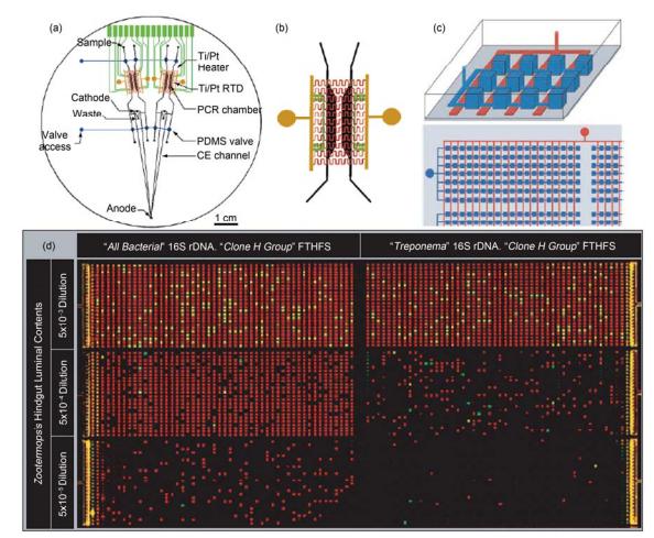 集成微流控芯片用于聚合酶鏈式反應(PCR)應用實例 (a) 多通道 RT-PCR-CE 芯片結構示意圖, 在 1 塊 100 mm 直徑的芯片上集成有阻抗加熱元件、加熱電極引出條、Ti/Pt 感應溫度傳感器、PCR 反應腔室、電泳分離通道和 PDMS 氣動微閥; (b) 反應腔室區域放大圖[26]; (c) 數位式集成化 PCR 微流控芯片示意圖, 深色, 反應微腔室; 淺色, 微閥; (d) 數位式集成 PCR 反應結果圖