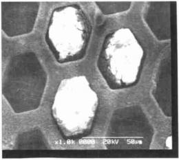 殘留有 SU- 8 的DNA芯片模具的電鏡照片 Fig. 1 SEM picture of DNA mold with SU- 8.