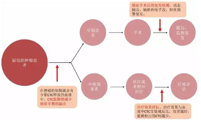 CTC在癌癥治療中的應用場景