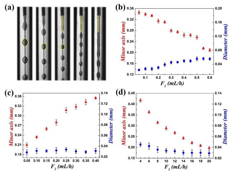 大孔微載體的可控制備 大孔微載體的可控制備