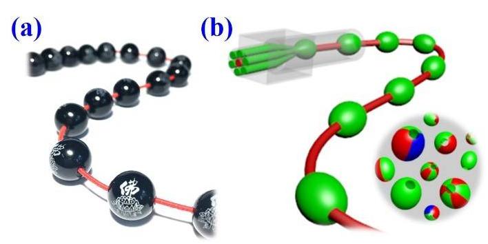 毛細管陣列微流控技術制備大孔微載體 毛細管陣列微流控技術制備大孔微載體