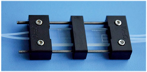 Dual Chip and Fixture System Dual Chip and Fixture System