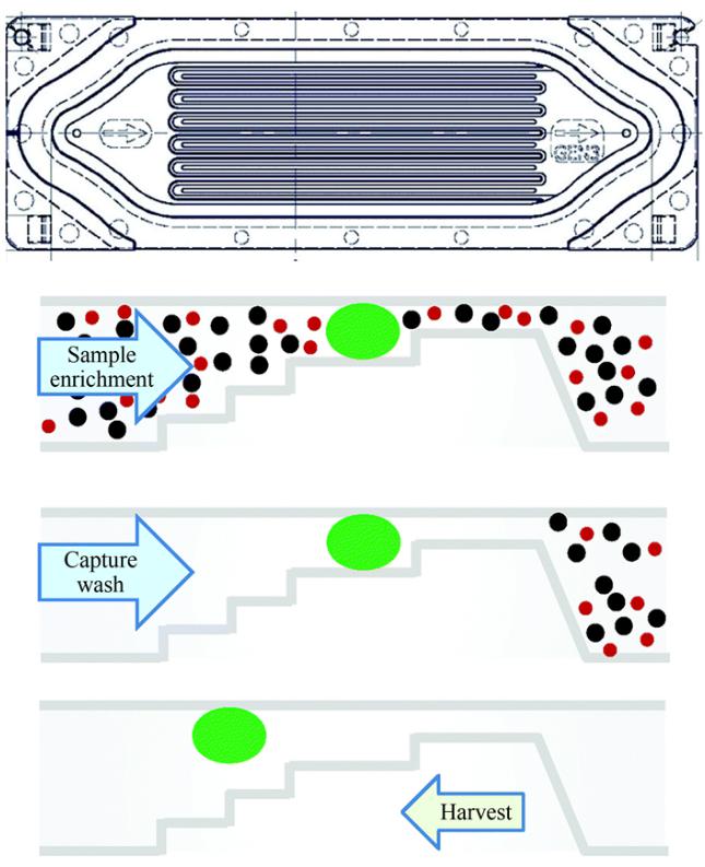 一次性Parsortix盒整體及截面結構示意圖
