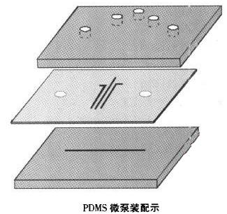 微流體PDMS芯片流體控制設備微泵裝配示意圖 微流體PDMS芯片流體控制設備微泵裝配示意圖