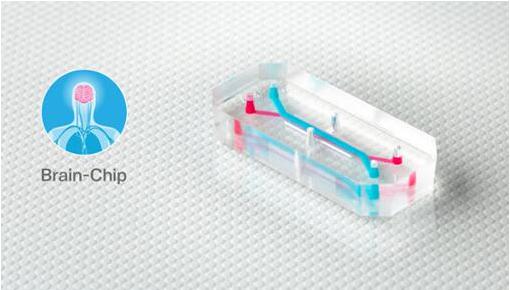 Emulate的器官芯片,如大腦芯片,包含排列成千上萬活的人體細胞和組織的微小中空通道,每個都有大約AA電池(5號電池)大小 Emulate的器官芯片,如大腦芯片,包含排列成千上萬活的人體細胞和組織的微小中空通道,每個都有大約AA電池(5號電池)大小