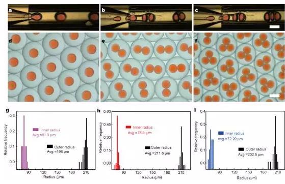 使用微流控裝置得到不同尺寸和結構的微膠囊