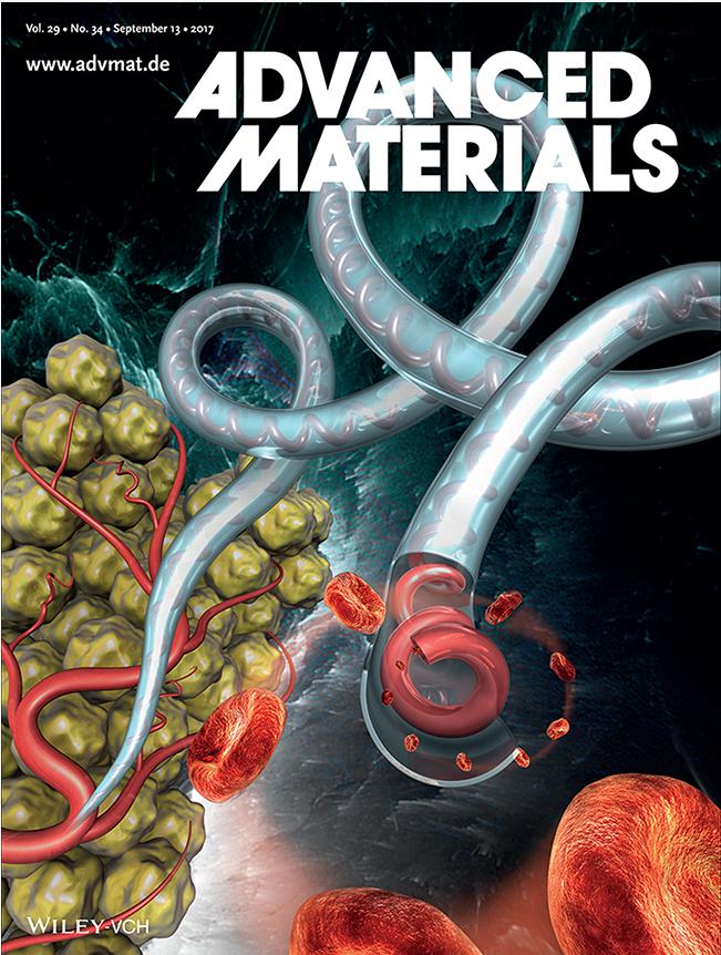 含螺旋血管通道的水凝膠纖維制備技術