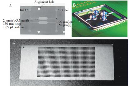  微池型 PCR芯片: (A) 單反應池 PCR芯片，(B) 液滴虛擬微池 PCR芯片， (C) 微池陣列 PCR芯片