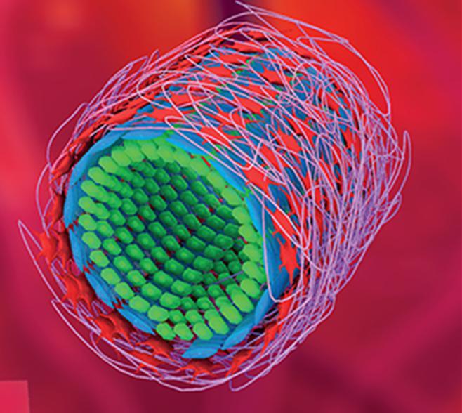 降解過程中保持形狀穩(wěn)定的自適應(yīng)多層管狀聚合物血管支架 降解過程中保持形狀穩(wěn)定的自適應(yīng)多層管狀聚合物血管支架