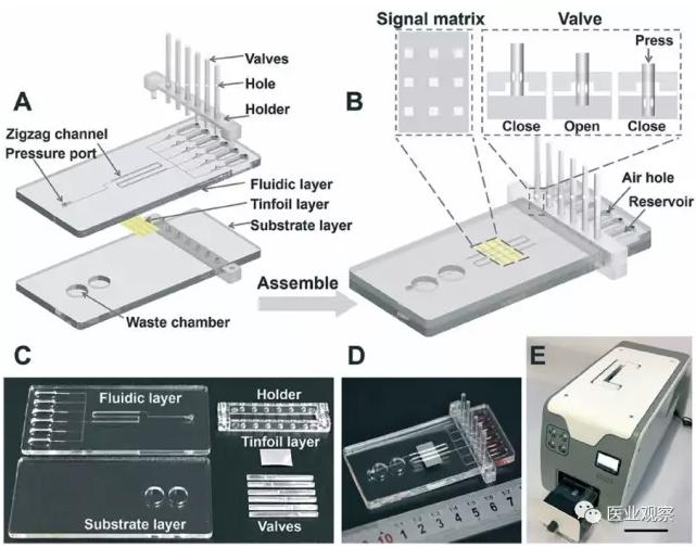 化學(xué)發(fā)光系統(tǒng)