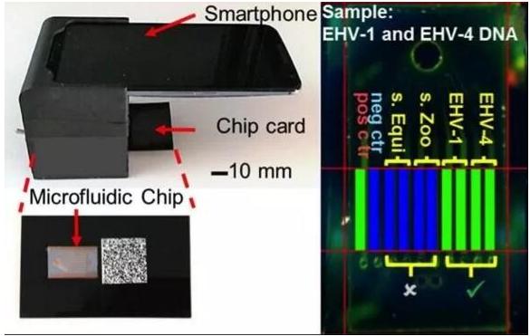 微流控芯片實驗室平臺:可快速檢測多種傳染病病原體 微流控芯片實驗室平臺:可快速檢測多種傳染病病原體